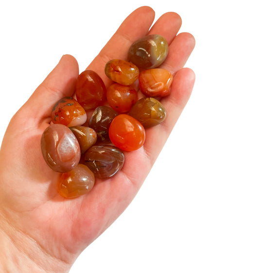 Carnelian tumble Confidence/ Empowerment